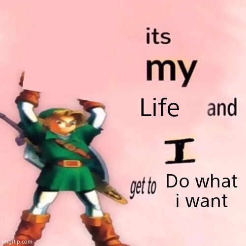 Deal with it teachers | Life; Do what i want | image tagged in it's my ___ and i get to ____ | made w/ Imgflip meme maker