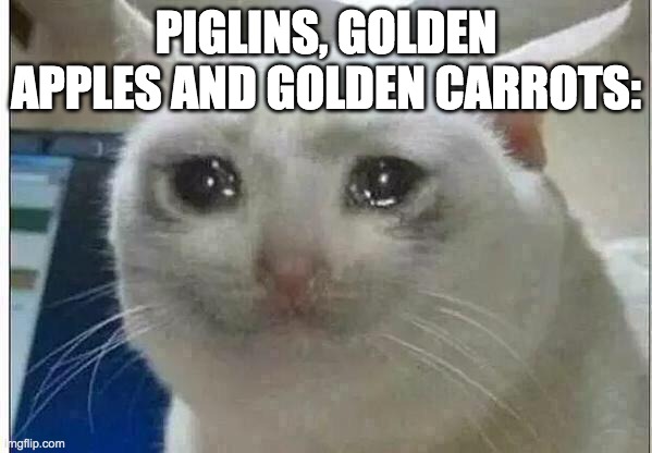 crying cat | PIGLINS, GOLDEN APPLES AND GOLDEN CARROTS: | image tagged in crying cat | made w/ Imgflip meme maker