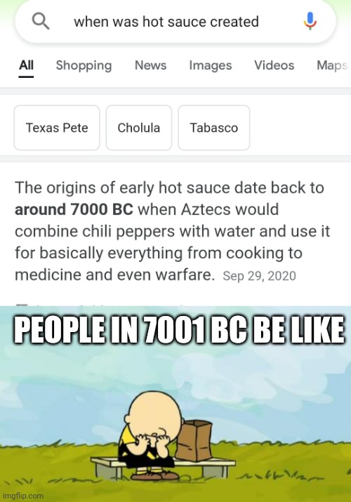 People before hot sauce be like... |  PEOPLE IN 7001 BC BE LIKE | image tagged in depressed charlie brown | made w/ Imgflip meme maker