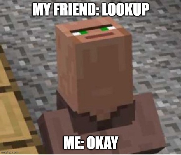 MINECRAFT MEME | MY FRIEND: LOOKUP; ME: OKAY | image tagged in minecraft villager looking up | made w/ Imgflip meme maker
