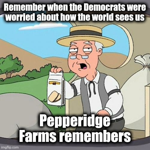 Will Biden ever do SNL ? | Remember when the Democrats were worried about how the world sees us; Pepperidge Farms remembers | image tagged in memes,pepperidge farm remembers,embarrassing,funny car crash,train wreck | made w/ Imgflip meme maker