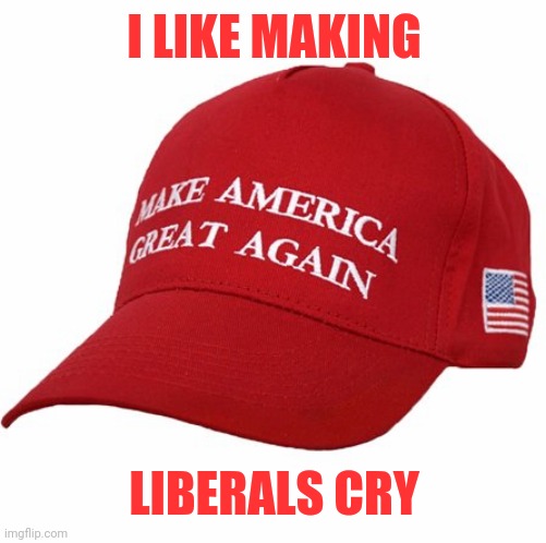 MAGA HAT | I LIKE MAKING LIBERALS CRY | image tagged in maga hat | made w/ Imgflip meme maker