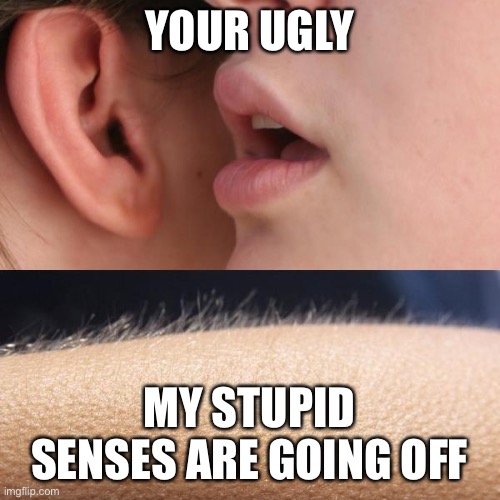 Whisper and Goosebumps |  YOUR UGLY; MY STUPID SENSES ARE GOING OFF | image tagged in whisper and goosebumps | made w/ Imgflip meme maker