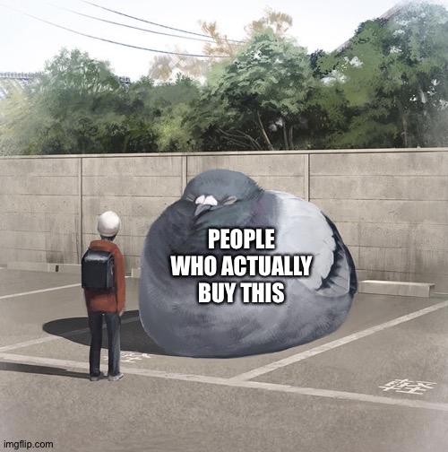 Beeg Birb | PEOPLE WHO ACTUALLY BUY THIS | image tagged in beeg birb | made w/ Imgflip meme maker