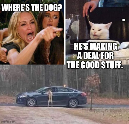 WHERE'S THE DOG? J M; HE'S MAKING A DEAL FOR THE GOOD STUFF. | image tagged in smudge the cat | made w/ Imgflip meme maker