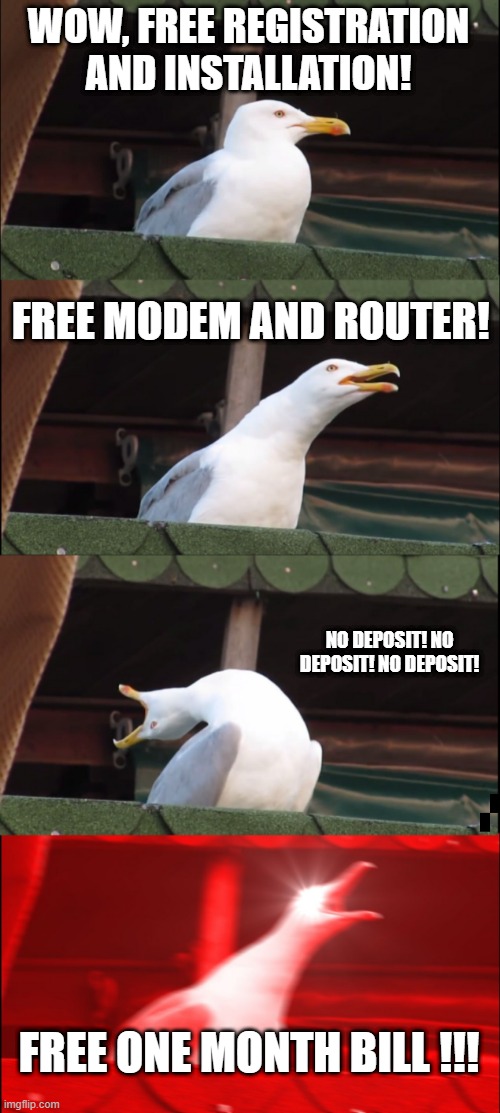 Inhaling Seagull | WOW, FREE REGISTRATION AND INSTALLATION! FREE MODEM AND ROUTER! NO DEPOSIT! NO DEPOSIT! NO DEPOSIT! FREE ONE MONTH BILL !!! | image tagged in memes,inhaling seagull | made w/ Imgflip meme maker