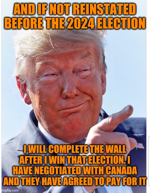 Trump pointing | AND IF NOT REINSTATED BEFORE THE 2024 ELECTION; I WILL COMPLETE THE WALL AFTER I WIN THAT ELECTION. I HAVE NEGOTIATED WITH CANADA AND THEY HAVE AGREED TO PAY FOR IT | image tagged in trump pointing | made w/ Imgflip meme maker