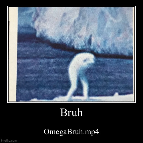 Bruh | image tagged in funny,demotivationals | made w/ Imgflip demotivational maker