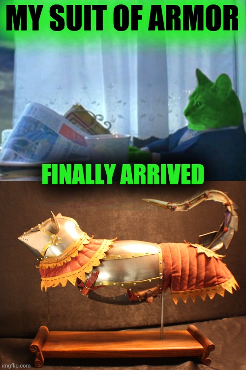 MY SUIT OF ARMOR FINALLY ARRIVED | image tagged in i should buy a boat raycat | made w/ Imgflip meme maker