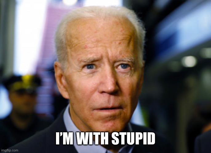 If you voted for him stand proud and get a shirt made …like this… | I’M WITH STUPID | image tagged in joe biden,stupid people | made w/ Imgflip meme maker