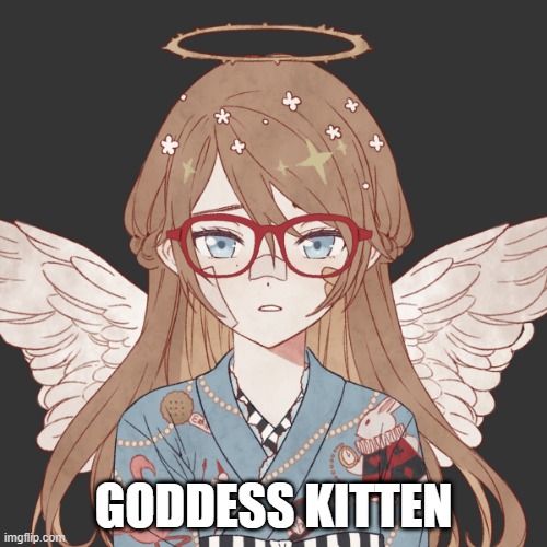 she's nice! | GODDESS KITTEN | image tagged in goddes kitten | made w/ Imgflip meme maker