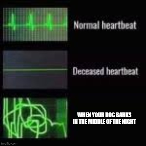 she scares me every time | WHEN YOUR DOG BARKS IN THE MIDDLE OF THE NIGHT | image tagged in heart monitor | made w/ Imgflip meme maker