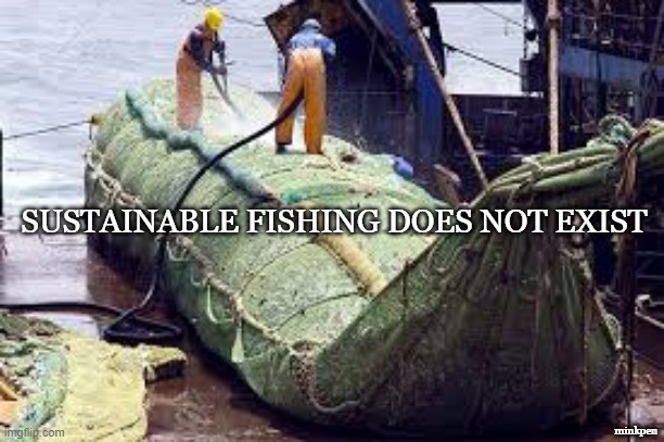 Sustainable Fishing Does Not Exist |  SUSTAINABLE FISHING DOES NOT EXIST; minkpen | image tagged in vegan,fishing,cod,ocean,sea,destruction | made w/ Imgflip meme maker