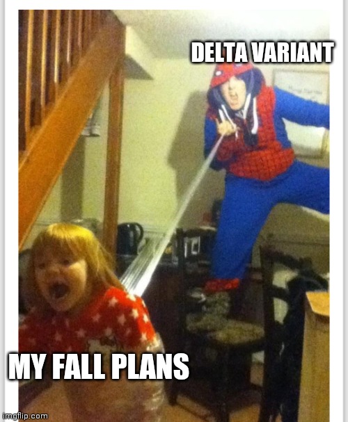 Can't escape | DELTA VARIANT; MY FALL PLANS | image tagged in covid-19,spiderman | made w/ Imgflip meme maker