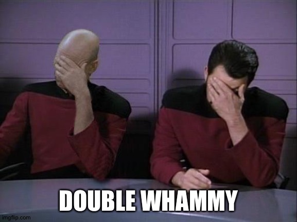Double Facepalm | DOUBLE WHAMMY | image tagged in double facepalm | made w/ Imgflip meme maker