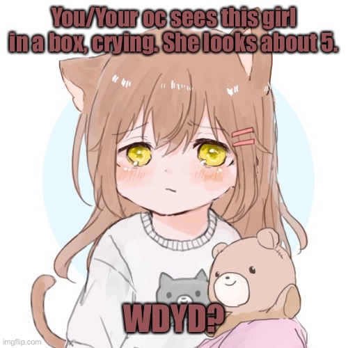 She/Her. I doubt anyone will remember her but I used this same rp a long time ago. |  You/Your oc sees this girl in a box, crying. She looks about 5. WDYD? | made w/ Imgflip meme maker