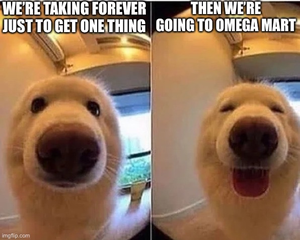 wholesome doggo | WE’RE TAKING FOREVER JUST TO GET ONE THING; THEN WE’RE GOING TO OMEGA MART | image tagged in wholesome doggo | made w/ Imgflip meme maker