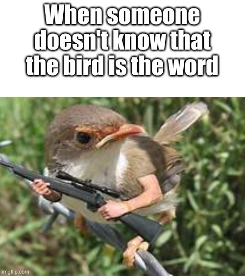E V E R Y B O D Y K N O W S T H A T T H E B I R D I S T H E W O R D | When someone doesn't know that the bird is the word | image tagged in blank white template,bird,bird is the word | made w/ Imgflip meme maker