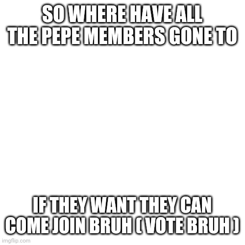 Blank Transparent Square Meme | SO WHERE HAVE ALL THE PEPE MEMBERS GONE TO; IF THEY WANT THEY CAN COME JOIN BRUH ( VOTE BRUH ) | image tagged in memes,blank transparent square | made w/ Imgflip meme maker