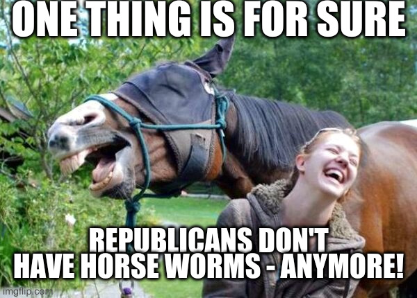 don't take drugs kids, just ignore the dumb 'adults' | ONE THING IS FOR SURE; REPUBLICANS DON'T HAVE HORSE WORMS - ANYMORE! | image tagged in laughing horse | made w/ Imgflip meme maker