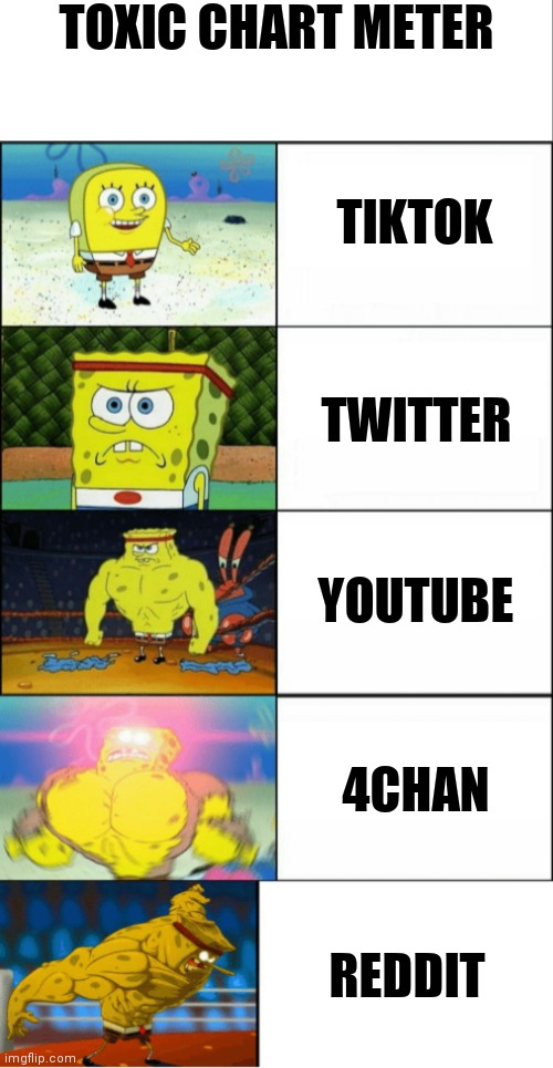 More than just a meme but a fact | TOXIC CHART METER; TIKTOK; TWITTER; YOUTUBE; 4CHAN; REDDIT | image tagged in white bar,increasingly buff spongebob,strong spongebob chart | made w/ Imgflip meme maker