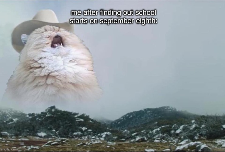 school sucks |  me after finding out school starts on september eighth: | image tagged in screaming cowboy cat | made w/ Imgflip meme maker
