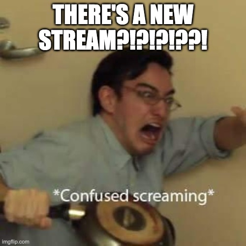 filthy frank confused scream | THERE'S A NEW STREAM?!?!?!??! | image tagged in filthy frank confused scream | made w/ Imgflip meme maker