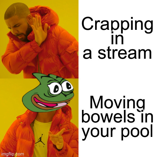 Drake Hotline Bling Meme | Crapping in a stream; Moving bowels in your pool | image tagged in memes,drake hotline bling | made w/ Imgflip meme maker