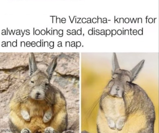 Is that you? | made w/ Imgflip meme maker