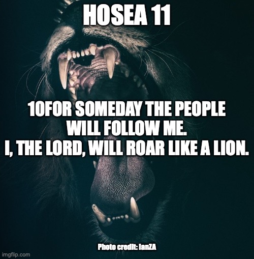 “Hallelujah” | HOSEA 11; 10FOR SOMEDAY THE PEOPLE WILL FOLLOW ME.
I, THE LORD, WILL ROAR LIKE A LION. Photo credit: IanZA | image tagged in praise the lord | made w/ Imgflip meme maker