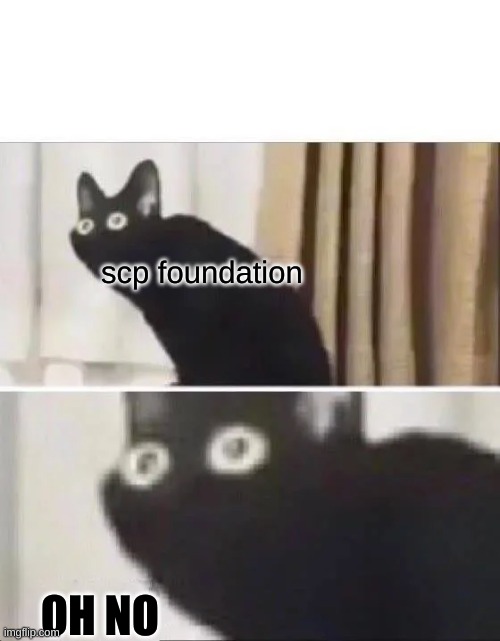 Oh No Black Cat | scp foundation OH NO | image tagged in oh no black cat | made w/ Imgflip meme maker