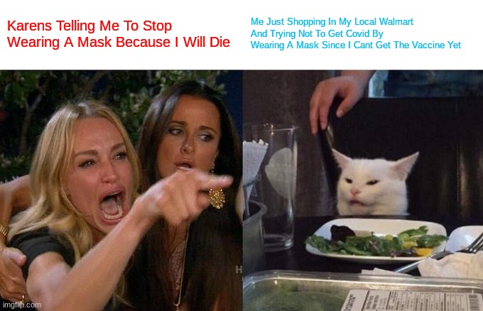 Shut Up Karen.. | Karens Telling Me To Stop Wearing A Mask Because I Will Die; Me Just Shopping In My Local Walmart And Trying Not To Get Covid By Wearing A Mask Since I Cant Get The Vaccine Yet | image tagged in memes,woman yelling at cat | made w/ Imgflip meme maker