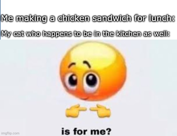 :/ | Me making a chicken sandwich for lunch:; My cat who happens to be in the kitchen as well: | image tagged in is for me | made w/ Imgflip meme maker