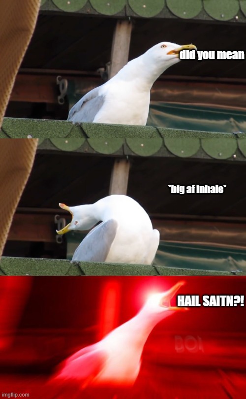 Inhaling seagull | did you mean HAIL SAITN?! *big af inhale* | image tagged in inhaling seagull | made w/ Imgflip meme maker