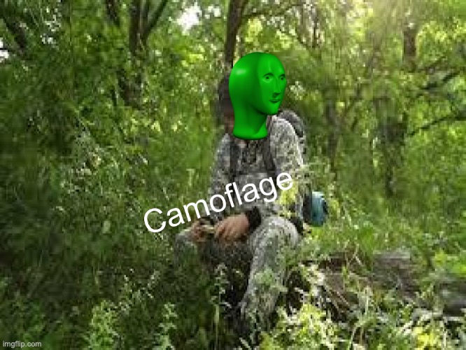 Camoflage | image tagged in camoflage | made w/ Imgflip meme maker