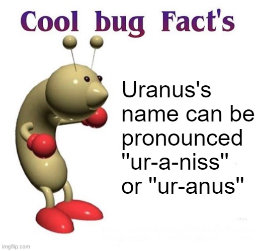 Cool Bug Facts Api | Uranus's name can be pronounced ''ur-a-niss'' or ''ur-anus'' | image tagged in cool bug facts api | made w/ Imgflip meme maker