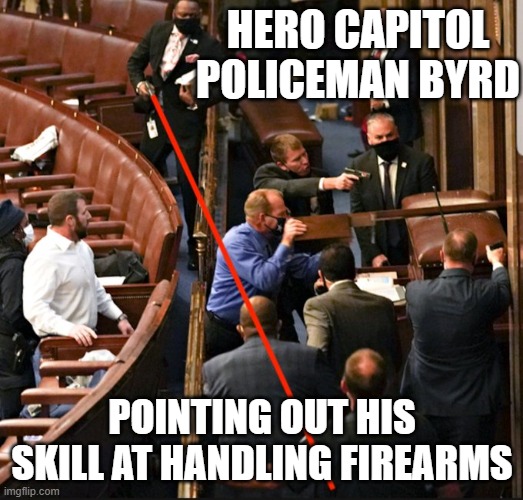 Capitol Police Idiot |  HERO CAPITOL POLICEMAN BYRD; POINTING OUT HIS SKILL AT HANDLING FIREARMS | image tagged in capitol police,insurrection,hero,ashli babbett | made w/ Imgflip meme maker