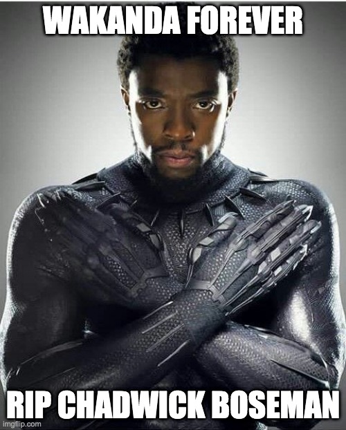 RIP :( | WAKANDA FOREVER; RIP CHADWICK BOSEMAN | image tagged in chadwick boseman | made w/ Imgflip meme maker