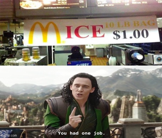 you had one job | image tagged in you had one job | made w/ Imgflip meme maker