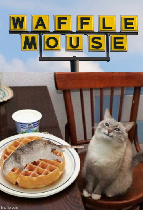 Waffle Mouse | image tagged in cat likes their waffle,memes,dead mouse,barney will eat all of your delectable biscuits,waffle house | made w/ Imgflip meme maker
