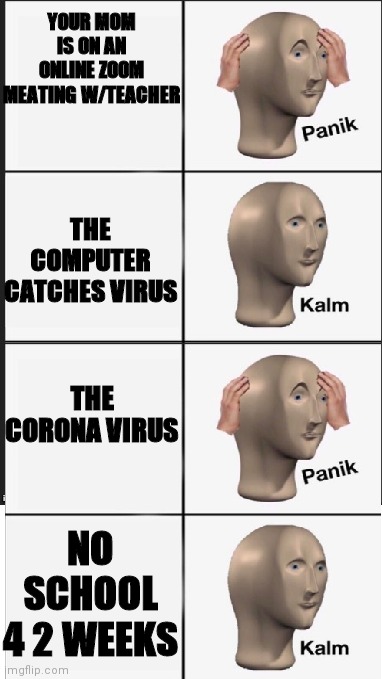 Scgool be like | YOUR MOM IS ON AN ONLINE ZOOM MEATING W/TEACHER; THE COMPUTER CATCHES VIRUS; THE CORONA VIRUS; NO SCHOOL 4 2 WEEKS | image tagged in panik kalm panik | made w/ Imgflip meme maker