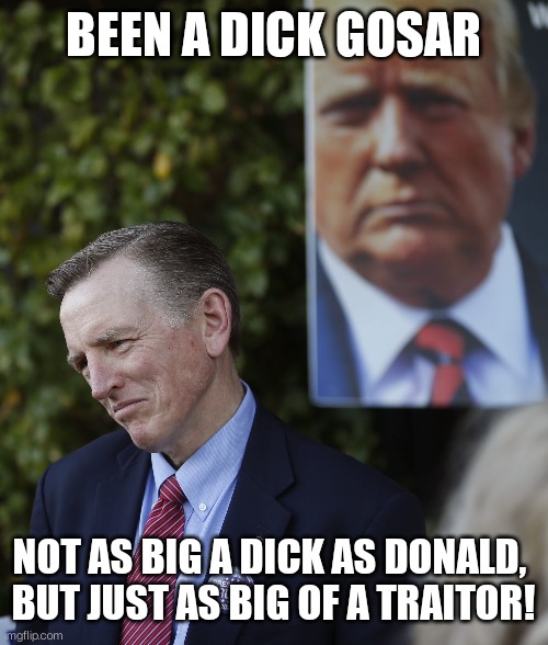 Been a dick Gosar | BEEN A DICK GOSAR; NOT AS BIG A DICK AS DONALD, 
BUT JUST AS BIG OF A TRAITOR! | image tagged in trump,traitor,gosar | made w/ Imgflip meme maker
