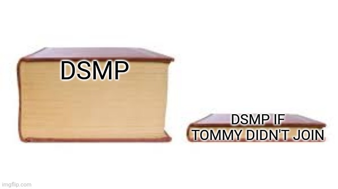 This might have been done before, but idek anymore | DSMP; DSMP IF TOMMY DIDN'T JOIN | image tagged in big book small book,dsmp,tommyinnit | made w/ Imgflip meme maker