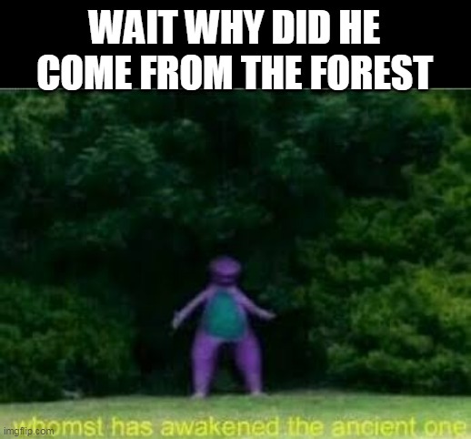 Whomst has awakened the ancient one | WAIT WHY DID HE COME FROM THE FOREST | image tagged in whomst has awakened the ancient one | made w/ Imgflip meme maker