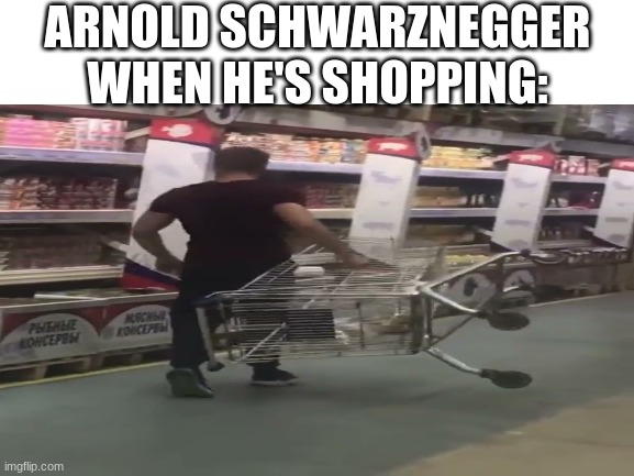 it would be like that | ARNOLD SCHWARZNEGGER WHEN HE'S SHOPPING: | image tagged in memes,funny,arnold schwarzenegger,shopping | made w/ Imgflip meme maker