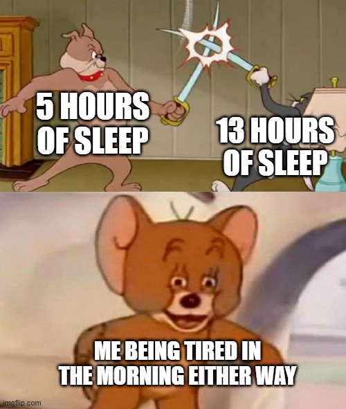 boomr | 5 HOURS OF SLEEP; 13 HOURS OF SLEEP; ME BEING TIRED IN THE MORNING EITHER WAY | image tagged in tom and jerry swordfight | made w/ Imgflip meme maker