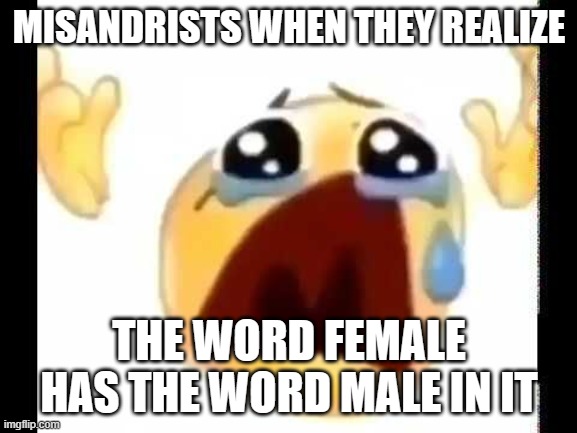 probably a repost | MISANDRISTS WHEN THEY REALIZE; THE WORD FEMALE HAS THE WORD MALE IN IT | image tagged in crying emoji shitpost,feminist | made w/ Imgflip meme maker