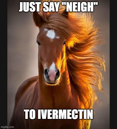 Horse | JUST SAY "NEIGH"; TO IVERMECTIN | image tagged in horse | made w/ Imgflip meme maker