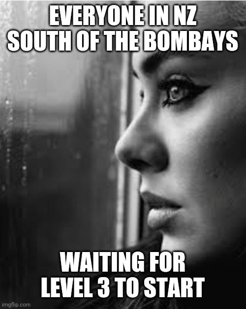 NZ waiting for lockdown level 3 | EVERYONE IN NZ SOUTH OF THE BOMBAYS; WAITING FOR LEVEL 3 TO START | image tagged in coronavirus | made w/ Imgflip meme maker