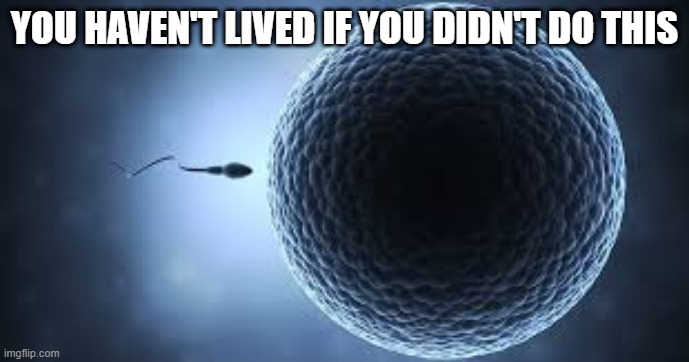 I mean, have you? | YOU HAVEN'T LIVED IF YOU DIDN'T DO THIS | image tagged in sperm egg | made w/ Imgflip meme maker
